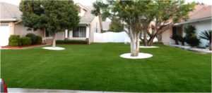 Artificial Grass Maintenance Contractor, Synthetic Lawn Cleaning and Maintenance Whitney NV