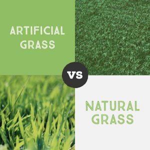 Artificial Grass vs Natural Grass, Artificial Turf Advantages Whitney NV